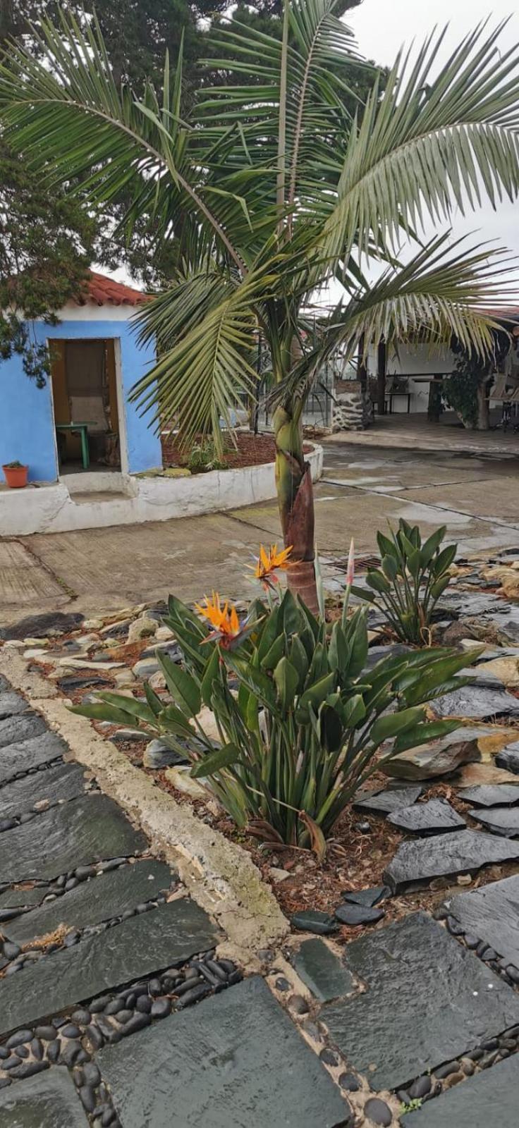 Casa La Caldera Villa Firgas Cameră foto
